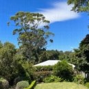 푸들민박 이미지