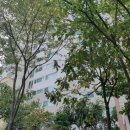 해양1로 이미지