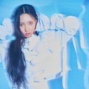 따스하개 이미지