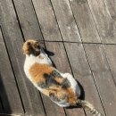 현준목장 이미지