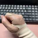 노멀라이프 데일리 와이드 (손목보호대 구매후기)