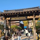 구룡포침구 이미지