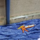 도장경로당 이미지