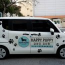 해피퍼피 강아지 유치원 이미지