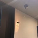 투썸플레이스 을지로점 | [ 서울 을지로 ] 을지로 중식 맛집 바오차이🍜 유니짜장·가리비짬뽕·딤섬 솔직후기