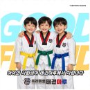 프리미엄 태권마루 태권도장 이미지