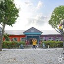 밀양대공원로 이미지