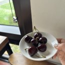 요니네 | 🍒완전 싱싱!! 엄마,이모,동생분들까지 다 보내신 요니팜스 체리 감동후기🥹