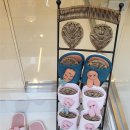 모넬롱 | 창원애견미용 | 모넬롱에서 받은 창원반려견미용 후기