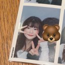 곰도리몰