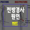 위아더휘트니스 이미지