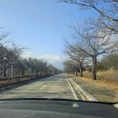[속초 설악워터피아] 나이트스파 등 입장료 할인팁 | 모자, 수영복 복장 규정 및 온천사우나 이용 후기