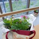 맛있는정원 이미지