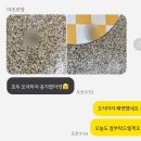 마조르댕 이미지