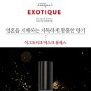 미미메종 이미지