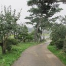 삼화농원 이미지