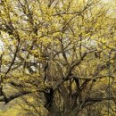 운조루 막둥이집 이미지