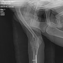 의정부24시IU동물병원 이미지