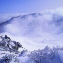 한라산 Daum카페