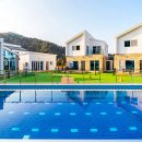 골드스푼애견풀빌라 이미지