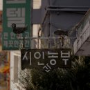 수원-0049 이미지