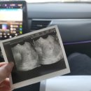 메디피아산부인과의원 이미지