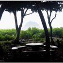 공룡민박 이미지