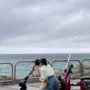 양양양