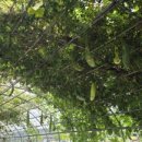 코스모스정원공중화장실 이미지