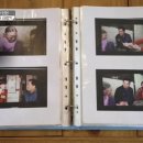 금송아지 이미지