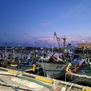 미영농장 이미지