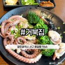 거북집 | 광주 풍암동 낙지 맛집 거북집에서 산낙지 데침 먹고와써요