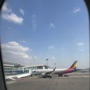 동아여관 | 2025 서울동아마라톤 풀코스 완주 #서울마라톤 #서울동아마라톤 #나이키알파플라이 #에어로스위프트...