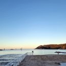 니가가라내가오께 이미지