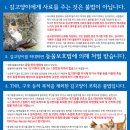 길고양이에게 사료를 주는것은 불법이 아닙니다.(글 내용과 포스터는 동물자유연대에서 퍼왔어요~) 이미지