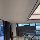 로카우스 수영장 | 용산역 로카우스 호텔 내돈내산 후기 (수영장/헬스장) 무료 레이트 체크아웃 방법