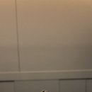 스시쿠모