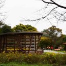 코스모스드림 이미지