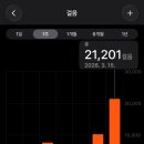 김정문알로에대구점 | 일본 도쿄 3박 4일 여행