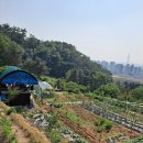 문환농장 이미지