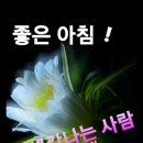 꽃사랑꽃구름
