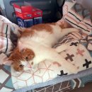 포항시남구14 이미지