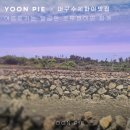 윤파이