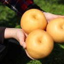 명성농장 이미지