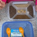 쌍둥이 농장 | [웰니스 여행] 강원도 강릉 쌍둥이동물원 (동물농장) 방문 후기 – 아이와 가볼 만한 곳, 반나절이 훌쩍...