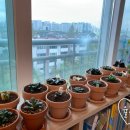 지양농장 이미지