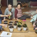 서구치매안심센터 이미지