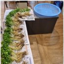 청출어람태권도장 이미지