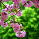 우산공원길 이미지