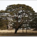 안산식물원 이미지